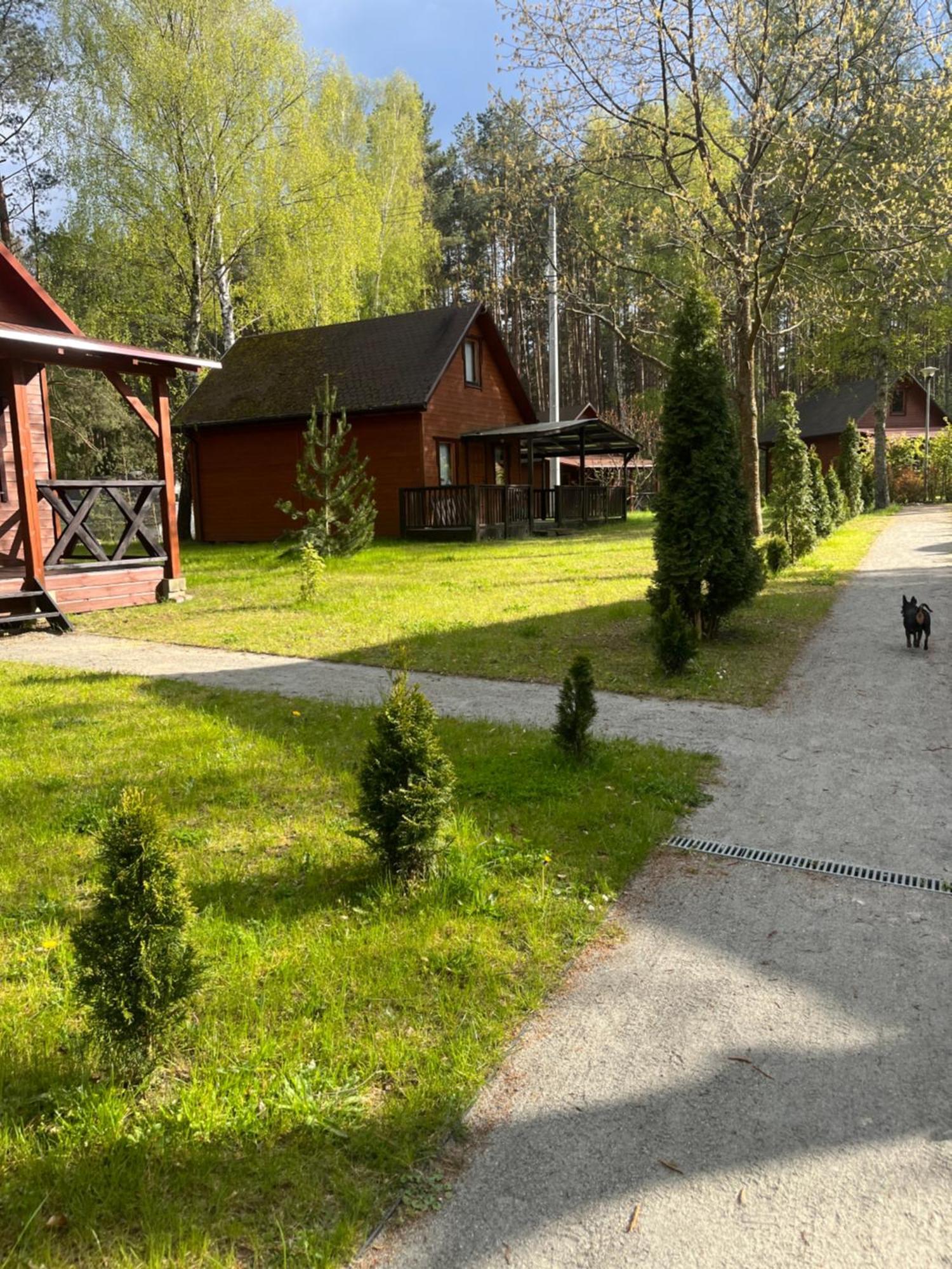 Domki Letniskowe Nad Jeziorem Kazub Cieciorka Exterior photo